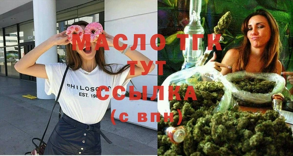прущий лед Михайлов
