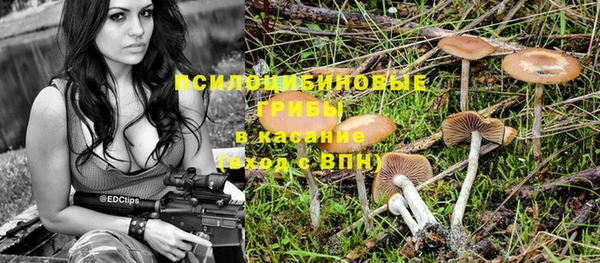 таблы Шарыпово