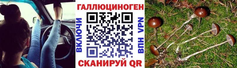Псилоцибиновые грибы Psilocybine cubensis  Углегорск 